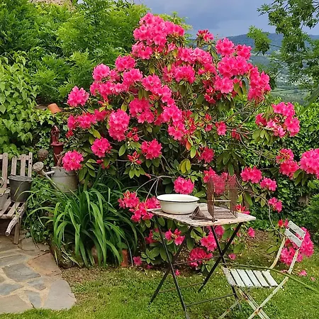 Bed and breakfast La Maison De Justine Le Fel