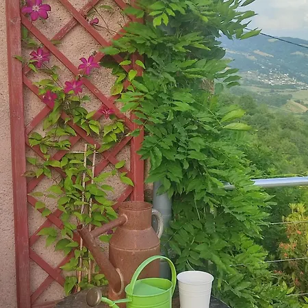 La Maison De Justine